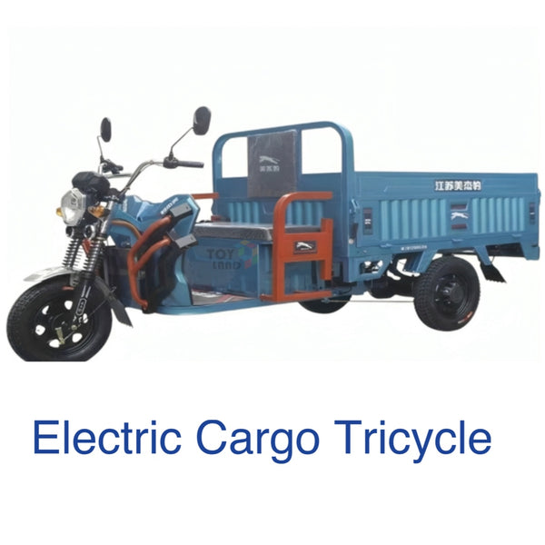 Electric Tricycle