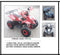 Buggy AL 600 ( 125 CC)