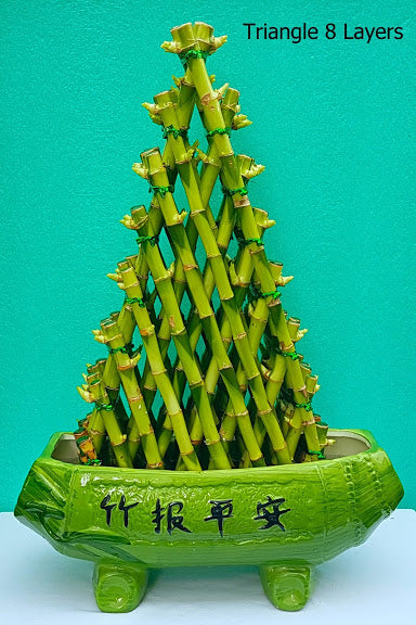 Lucky Bamboo Triangle